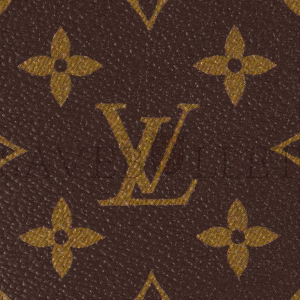 LOUIS VUITTON SAC PLAT BB M46265 (21.5*22*9cm)